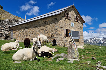 SolarLüftung im alpinen Kulturdenkmal